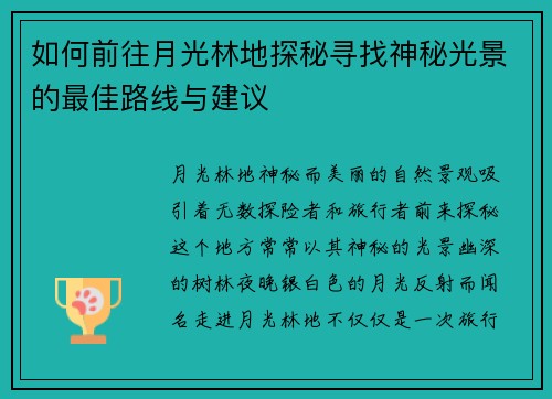 如何前往月光林地探秘寻找神秘光景的最佳路线与建议