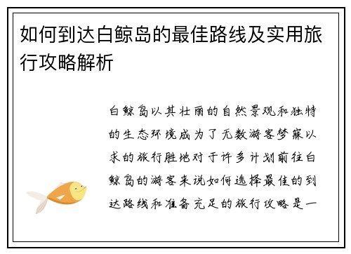 如何到达白鲸岛的最佳路线及实用旅行攻略解析